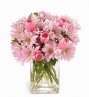 /images/ftd09white/B2-4103^1lg.jpg Peak of Freshness Bouquet